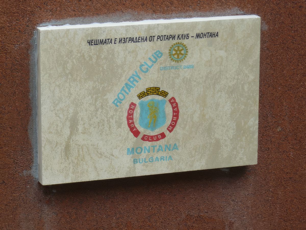 Ротари Монтана проекти